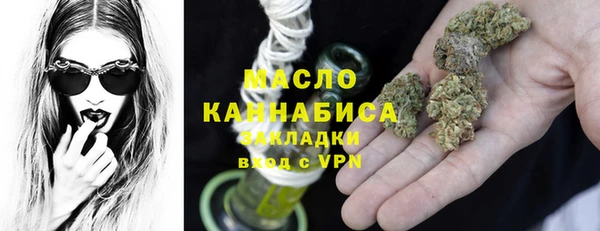 шишки Вяземский