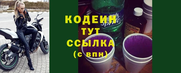 шишки Вяземский