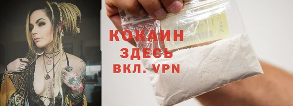 шишки Вяземский