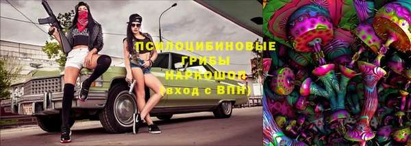 шишки Вяземский