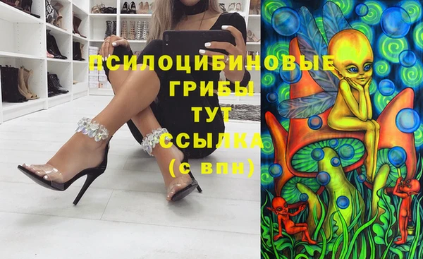 шишки Вяземский