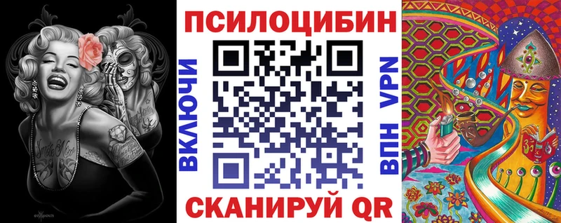 Купить где  Куртамыш  Галлюциногенные грибы Magic Shrooms 
