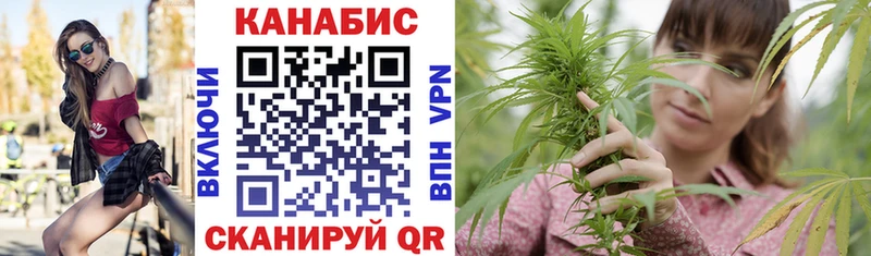 Каннабис OG Kush Куртамыш